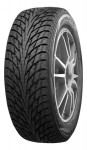 Шина Nokian Tyres Hakkapeliitta R2 195/55 R16 91R